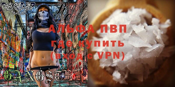 хмурый Белокуриха
