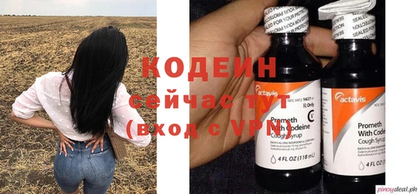 хмурый Белокуриха